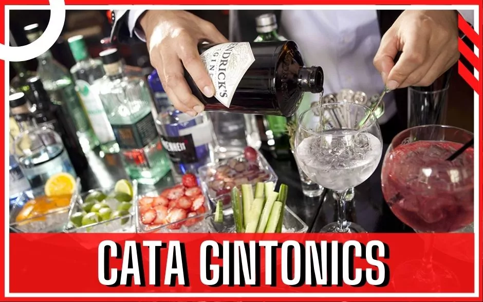 Batalla de Redes 16