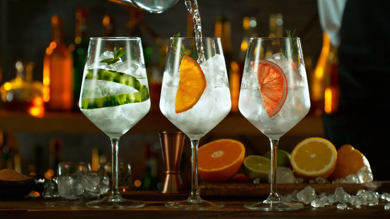 Explorando la cultura local Gintonic en Salou