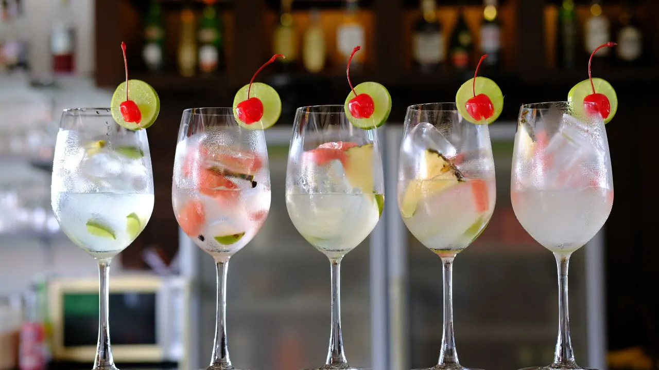 Qué esperar durante una cata de Gintonic en Salou