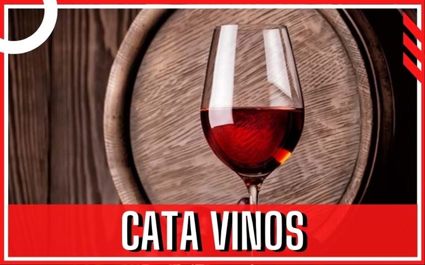 14 actividad despedida Salou Tarragona cata vino