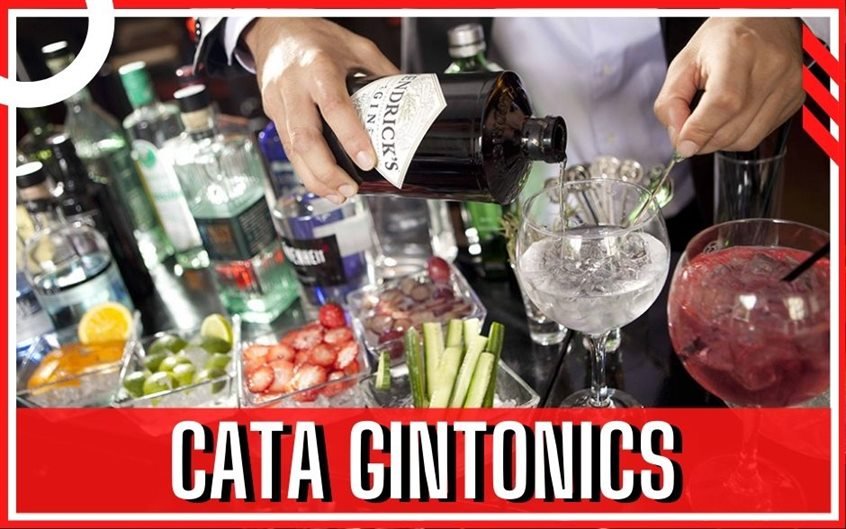 6 actividad despedida Salou Tarragona cata gin tonic